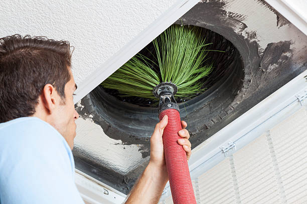 Best HVAC System Cleaning  in Grafton, ND